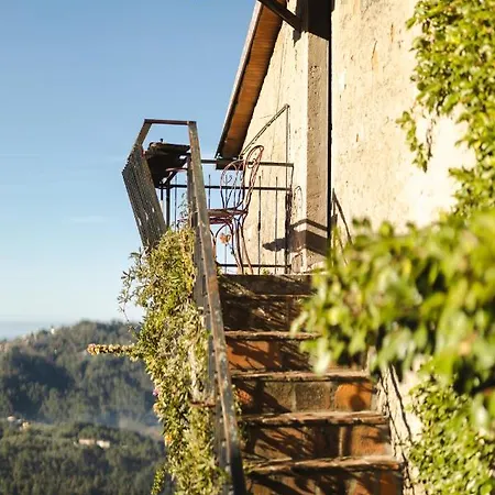 Peralta Tuscany Holiday home Camaiore
