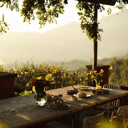 Peralta Tuscany *
