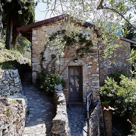 Peralta Tuscany * Camaiore