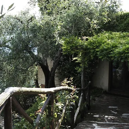 Peralta Tuscany Camaiore