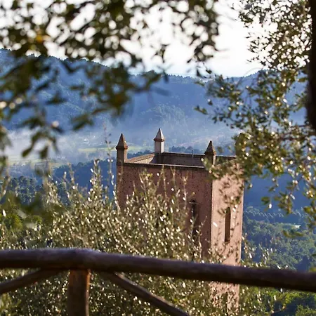 Peralta Tuscany Holiday home Camaiore