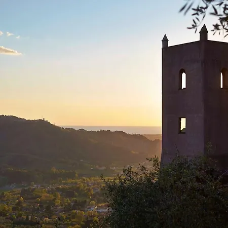 Peralta Tuscany * Camaiore