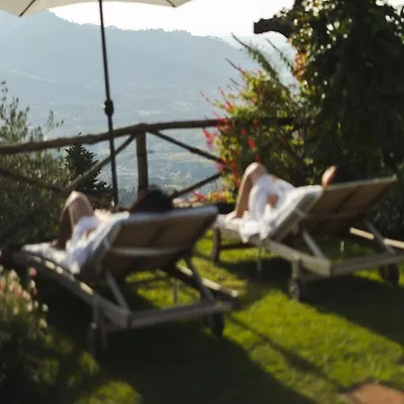 Peralta Tuscany * Camaiore