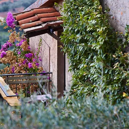 펜션 Peralta Tuscany *