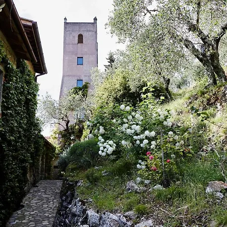 Peralta Tuscany * 카마이오레